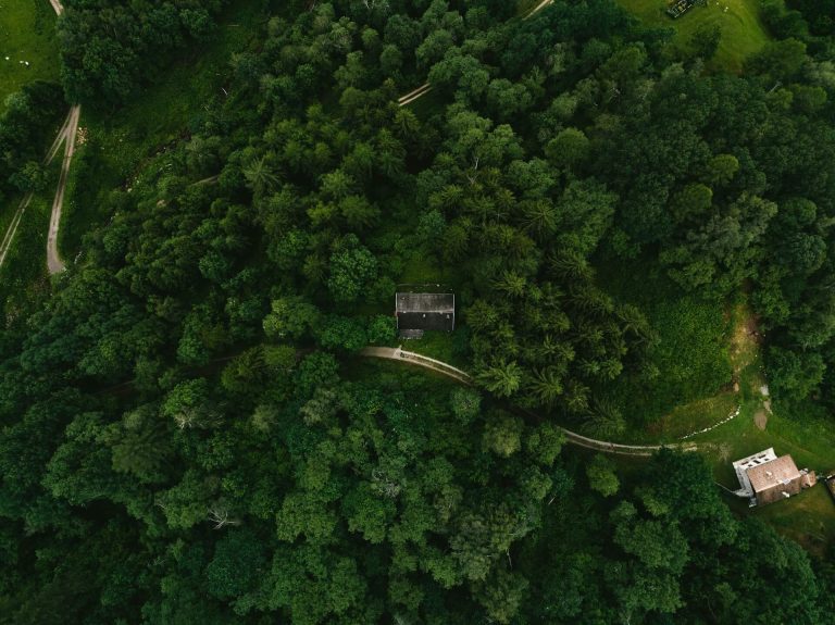 Casa en bosque desde arriba. Foto: Kristaps Ungurs, Unsplash.