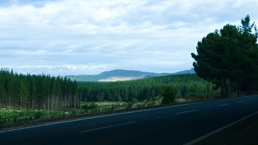 Terreno forestal y uso de suelo